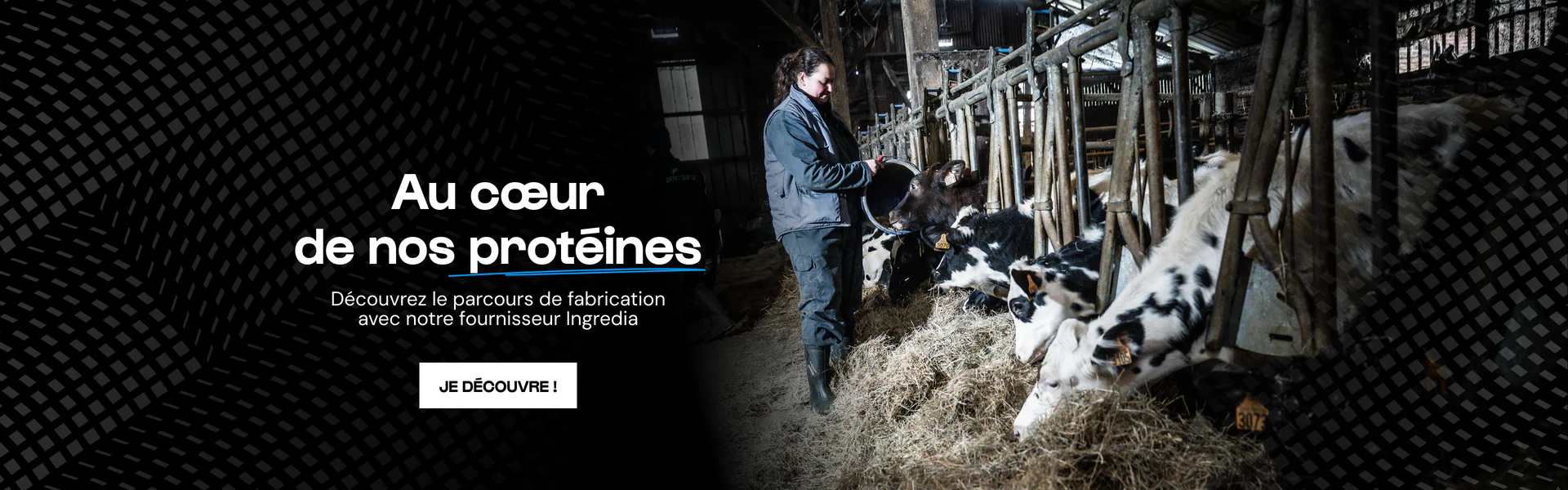 L'excellence nutritionnelle pour vos performances